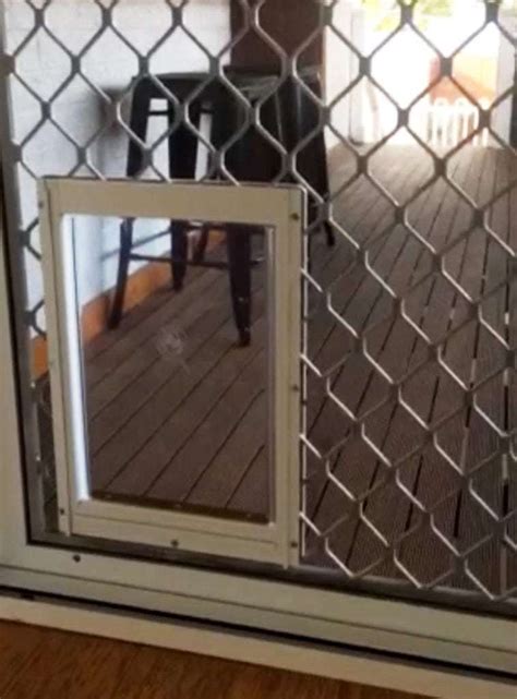 installing a dog door steel